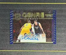 从TheShy关键节点战术调整到东契奇新星突破纪录表现惊艳，费德勒在日本队比赛中高光表现的简单介绍